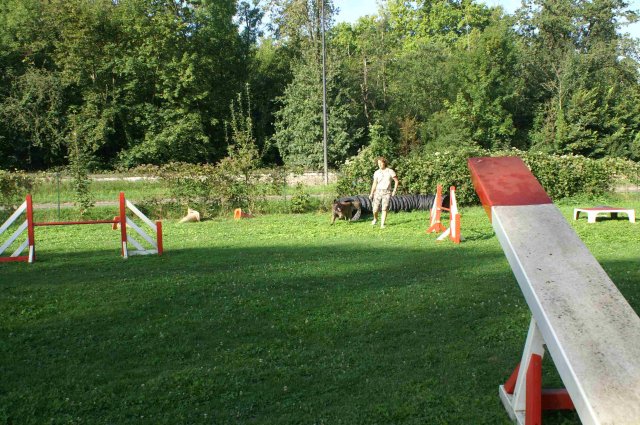 agility 2011-08
